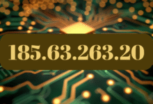 185.63.263.20
